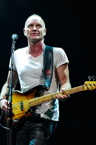 Sting - Suzanne Cordeiro Photography