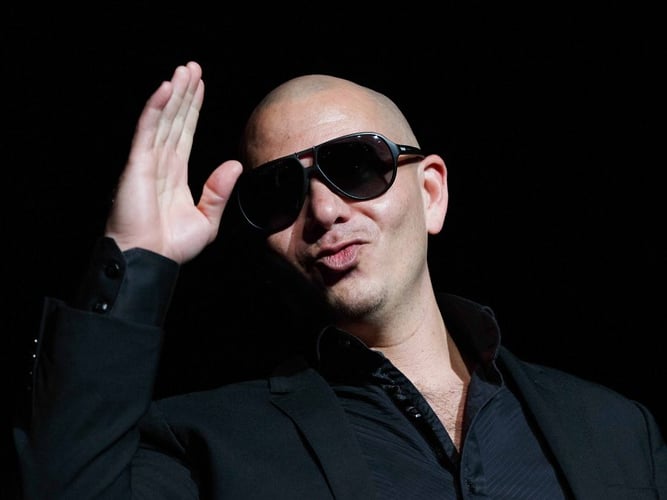 Pitbull - Suzanne Cordeiro Photography