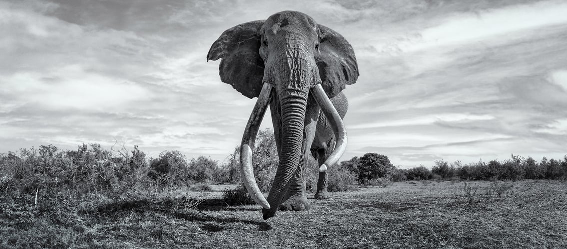 Craig - Suzanne Cordeiro Photography