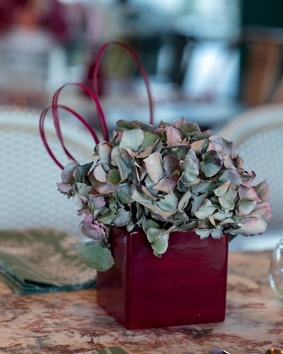 Food And Decor - Suzanne Cordeiro Photography