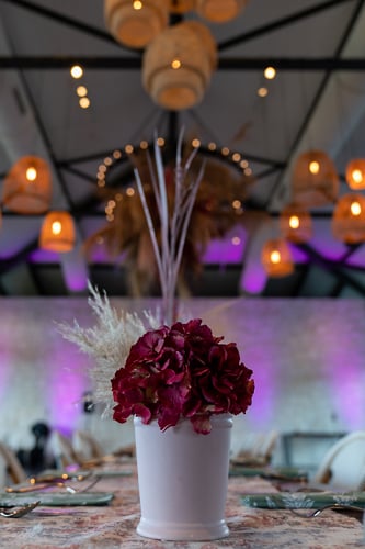 Food And Decor - Suzanne Cordeiro Photography