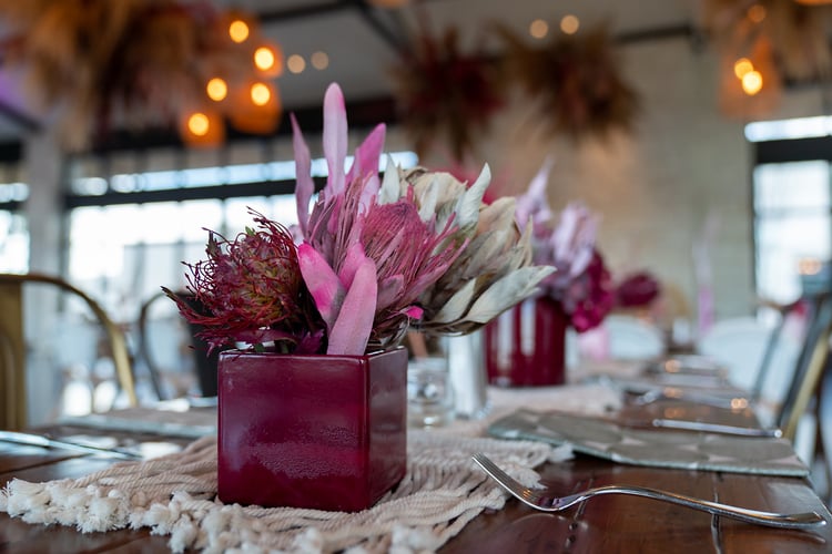 Food And Decor - Suzanne Cordeiro Photography