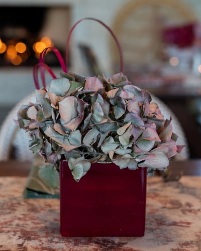 Food And Decor - Suzanne Cordeiro Photography
