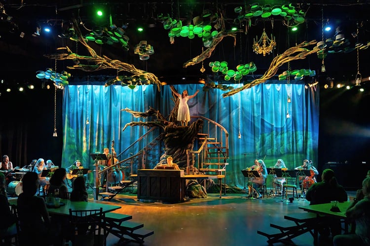 Theatre - Suzanne Cordeiro Photography